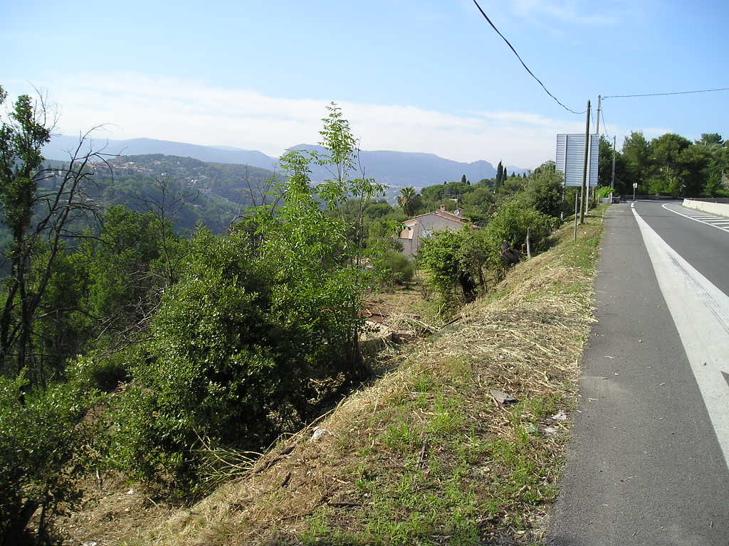 Débroussaillage en bord de route
