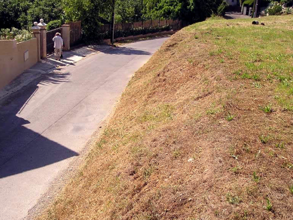 Débroussaillage d’un talus en pente