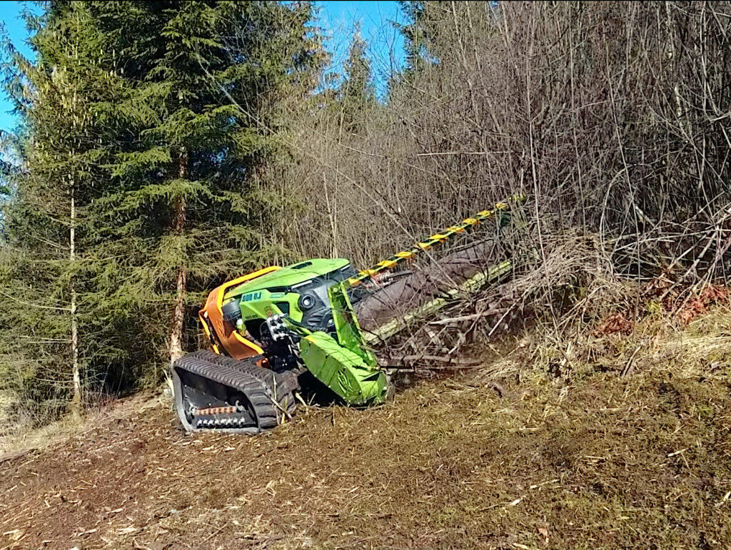 Défrichage d’un terrain avant remise en état