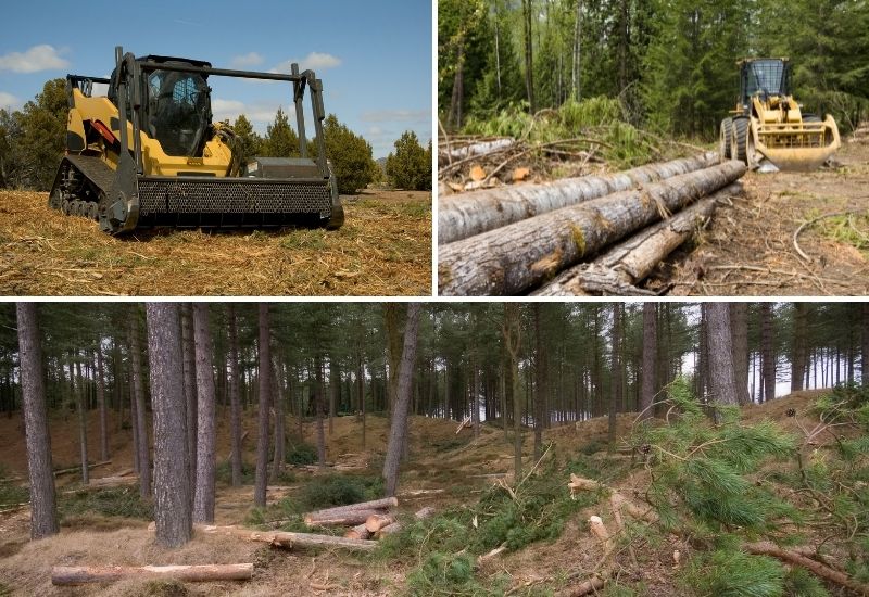 Débroussaillage forestier