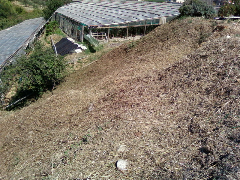 Débroussaillage agricole