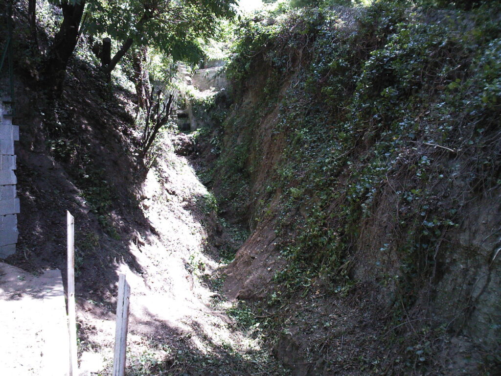 Débroussaillage vallon