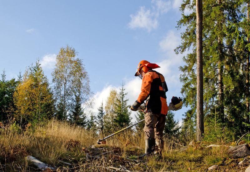 Obligations légales débroussaillement à Caussols (06460)