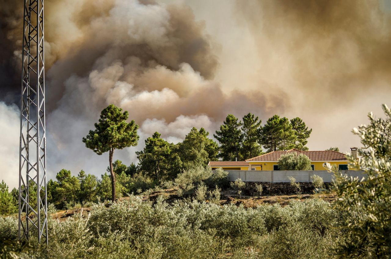 Incendie de végétation